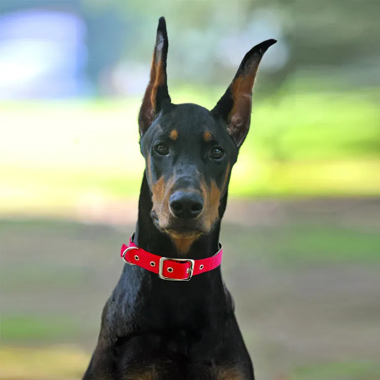 Adjustable Nylon Dog Collars