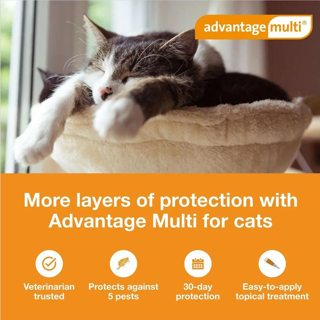 Advantage Multi Topical Solution for Cats (Imidacloprid & Moxidectin), 9.1-18 lbs, Purple