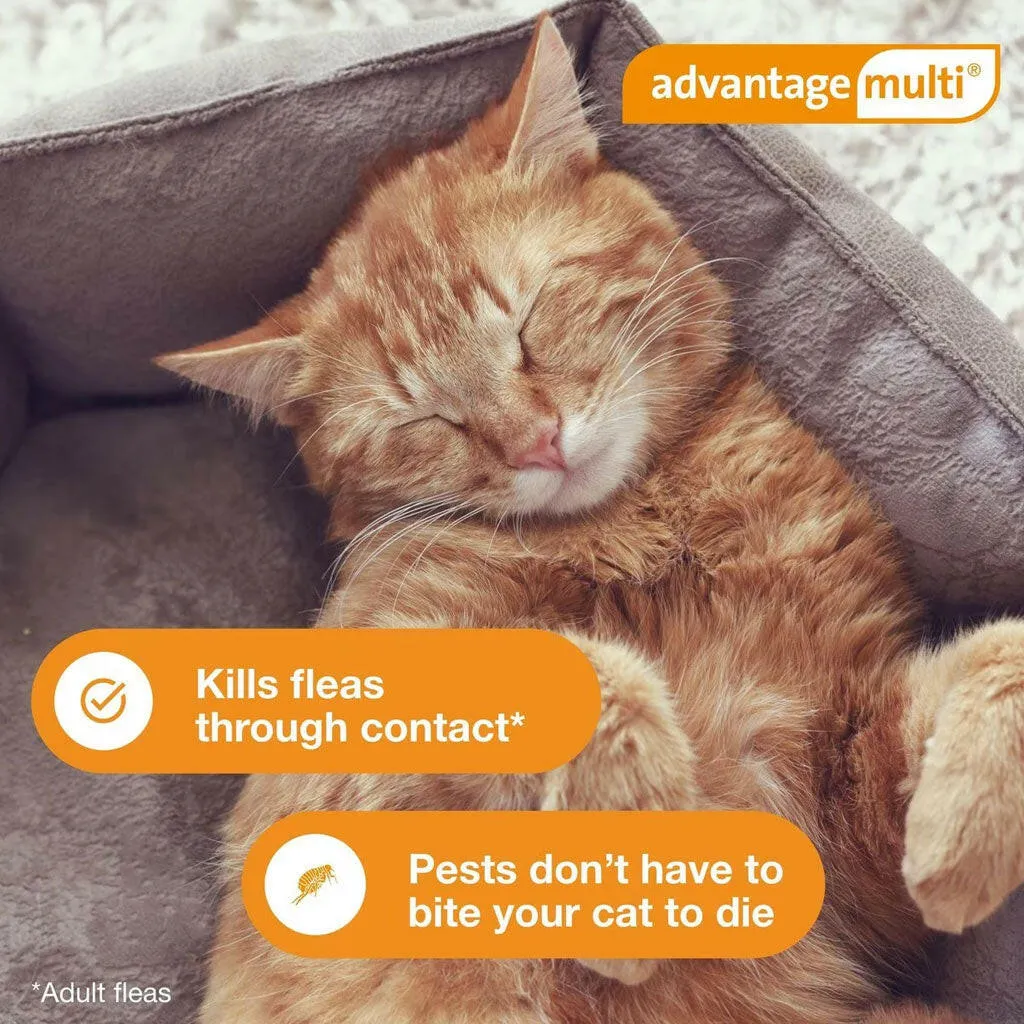 Advantage Multi Topical Solution for Cats (Imidacloprid & Moxidectin), 9.1-18 lbs, Purple
