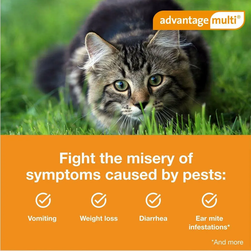 Advantage Multi Topical Solution for Cats (Imidacloprid & Moxidectin), 9.1-18 lbs, Purple