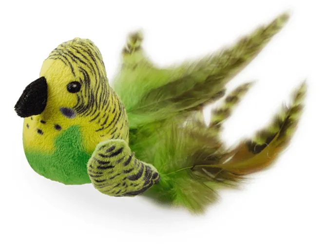 AFP Natural Instincts-Bouncing Bird