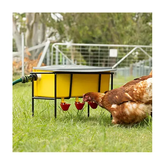 Bainbridge Automatic Poultry Waterer