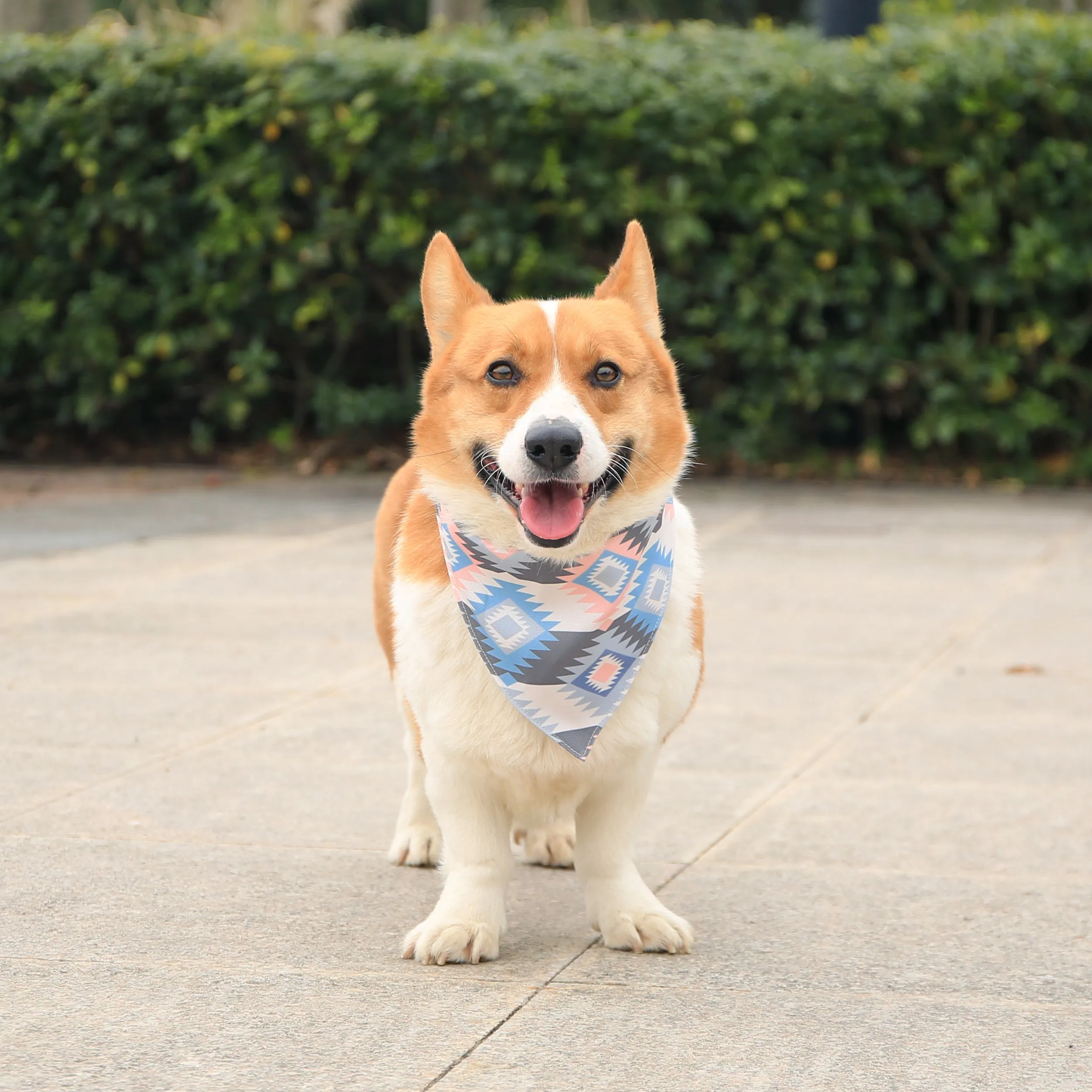 Boho Aztec Dog Collar Bandana