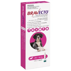 Bravecto Pink Flea & Tick Spot On Treatment 40-56kg Dog