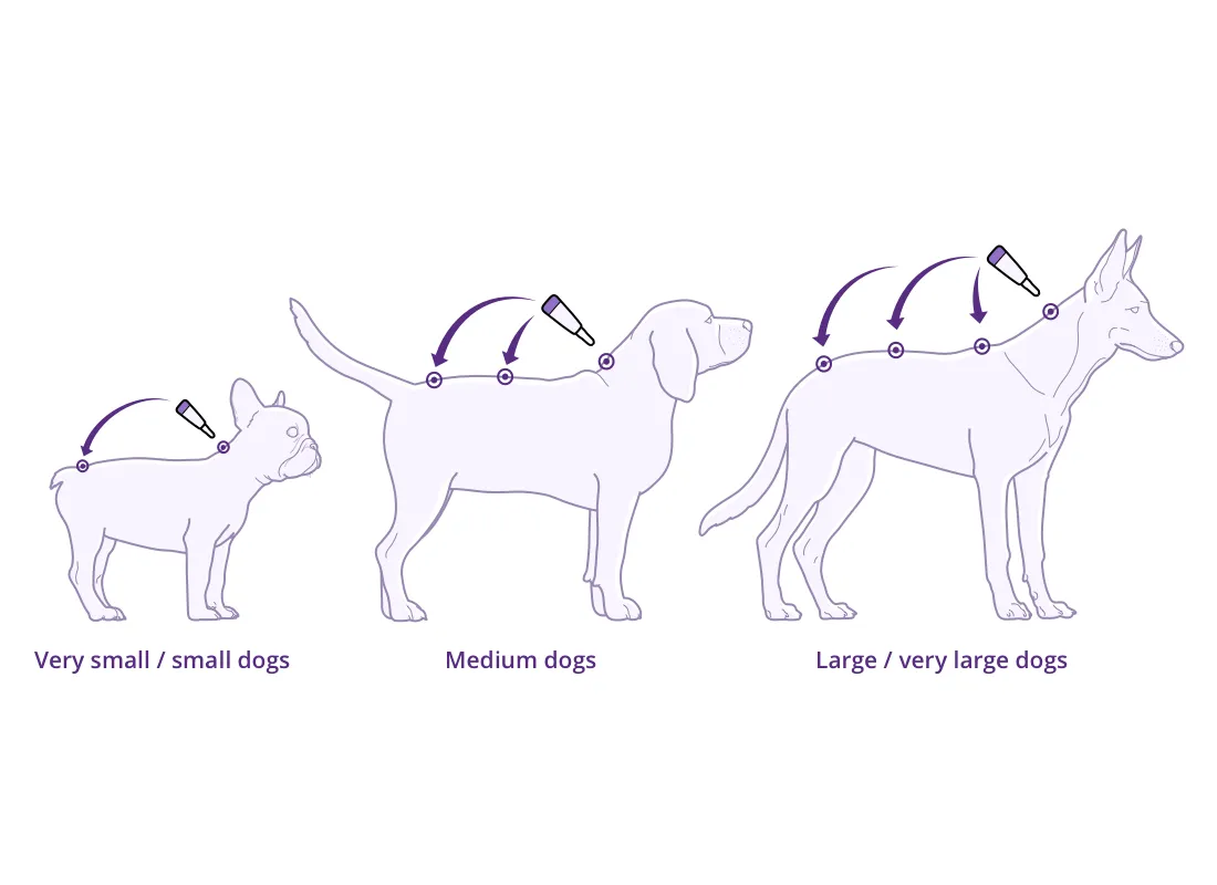 Bravecto Spot On For Dogs Green 10-20kg