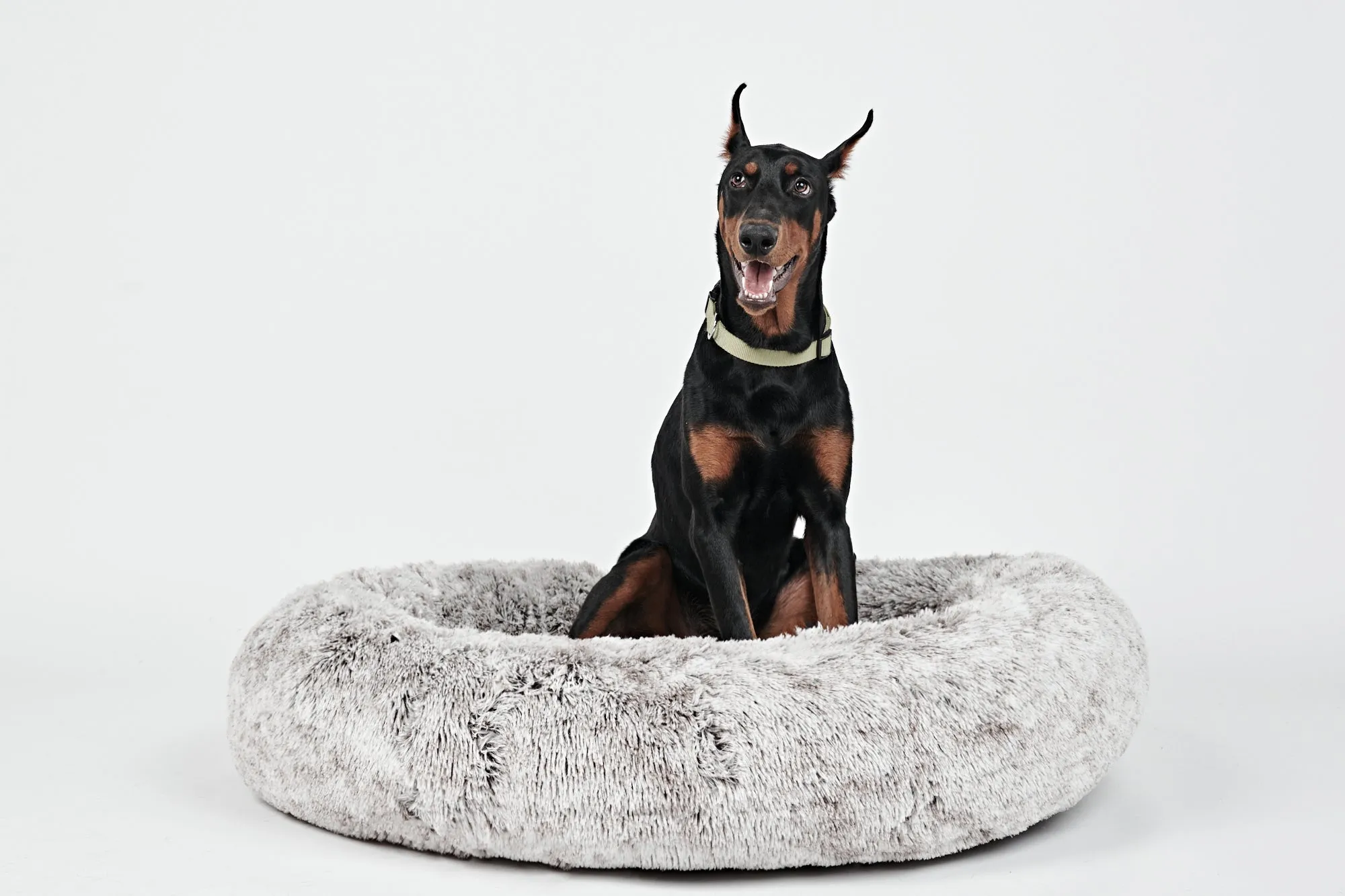 Calming Donut Bed