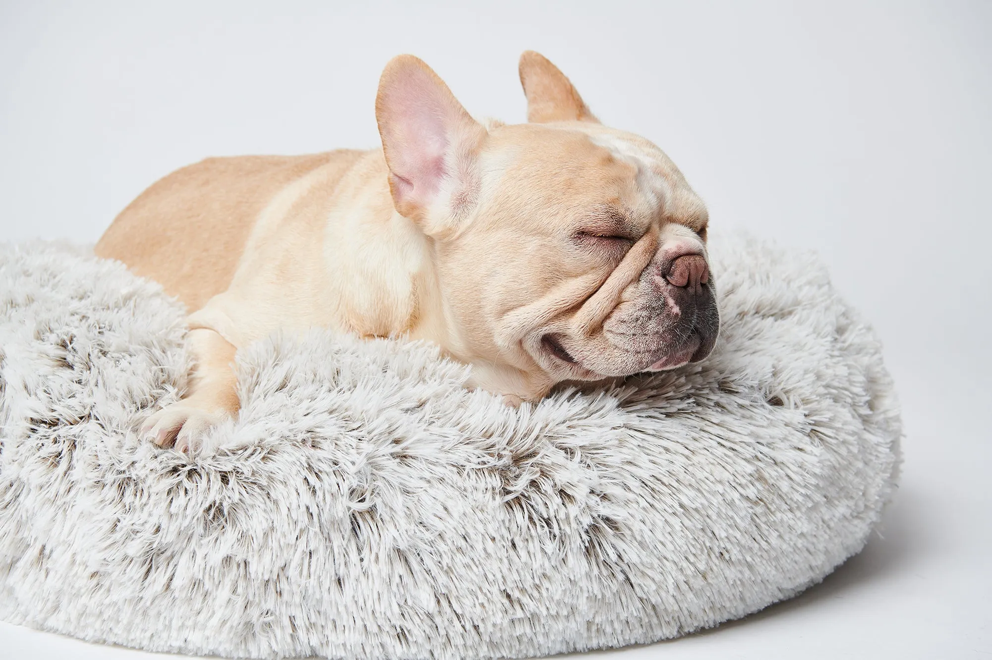 Calming Donut Bed