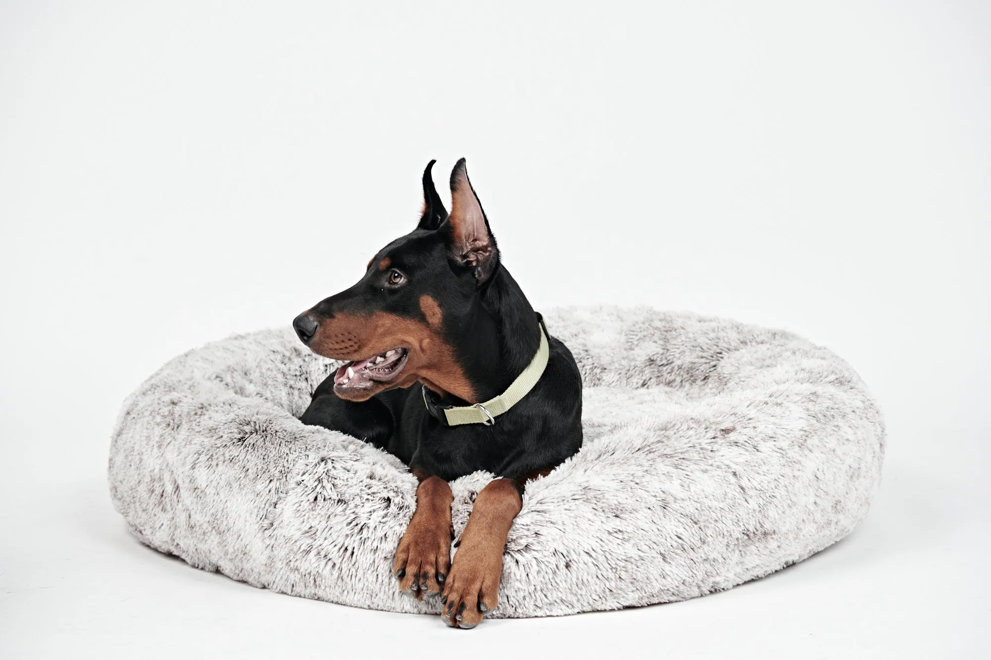 Calming Donut Bed