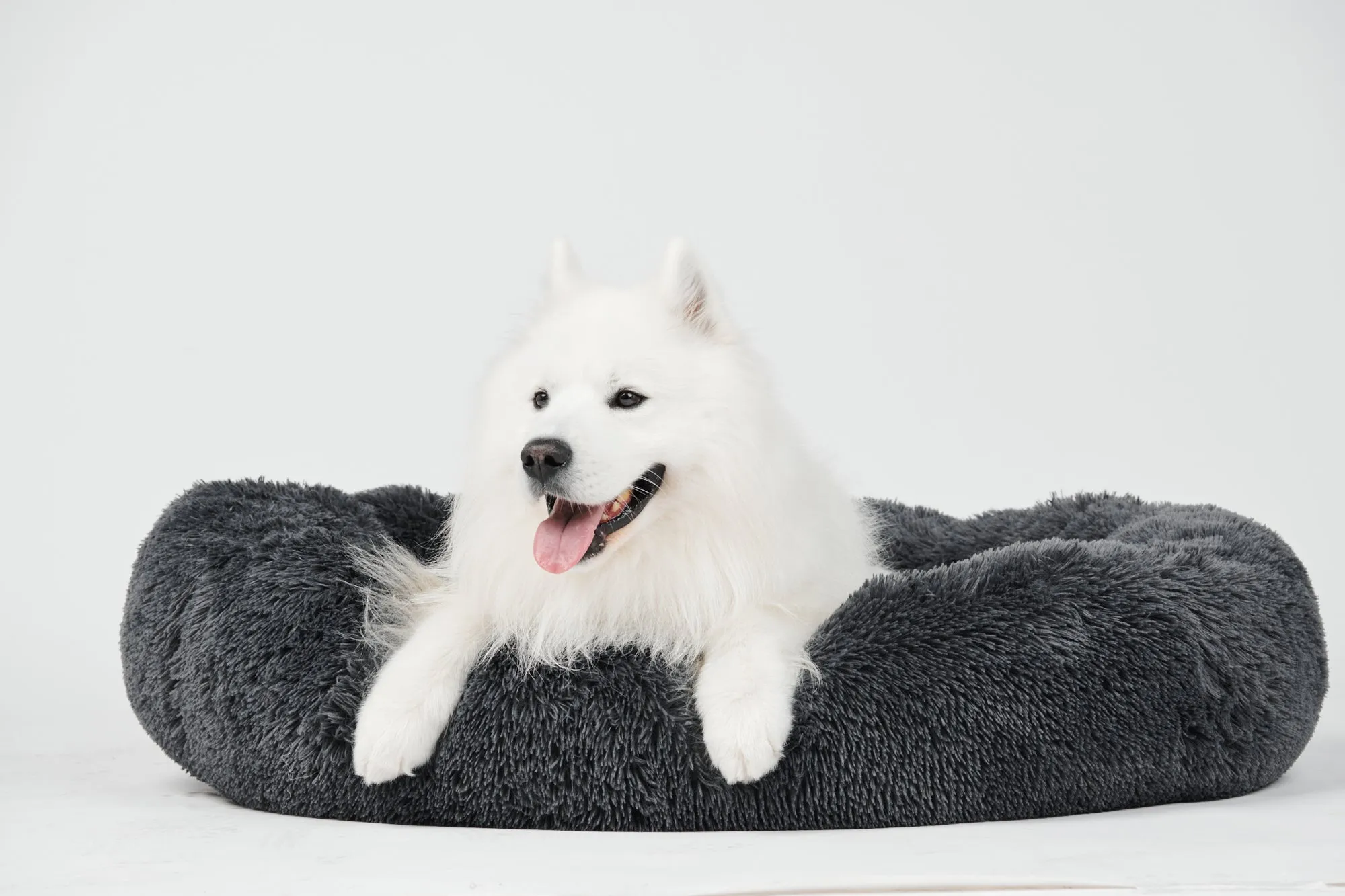 Calming Donut Bed