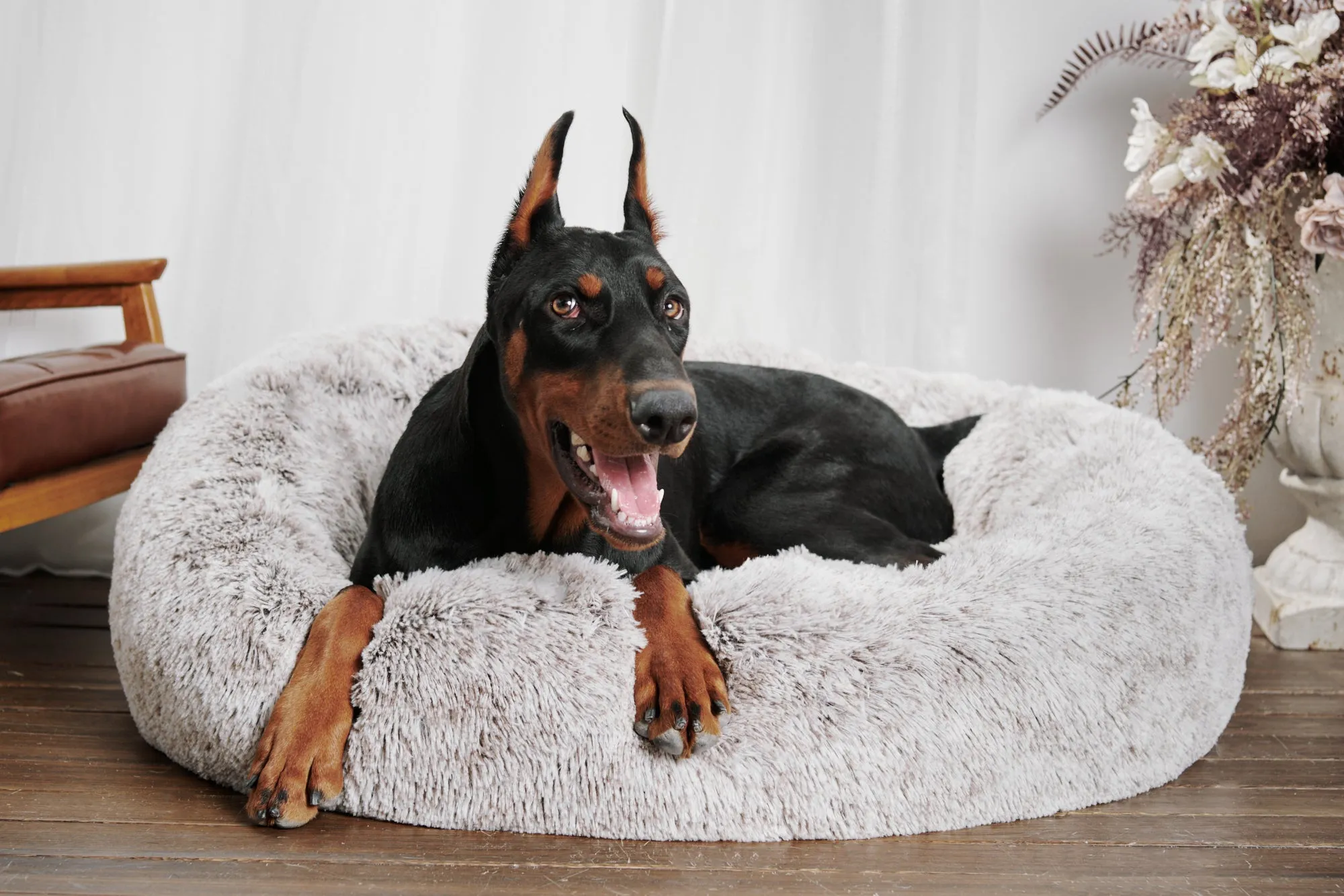 Calming Donut Bed