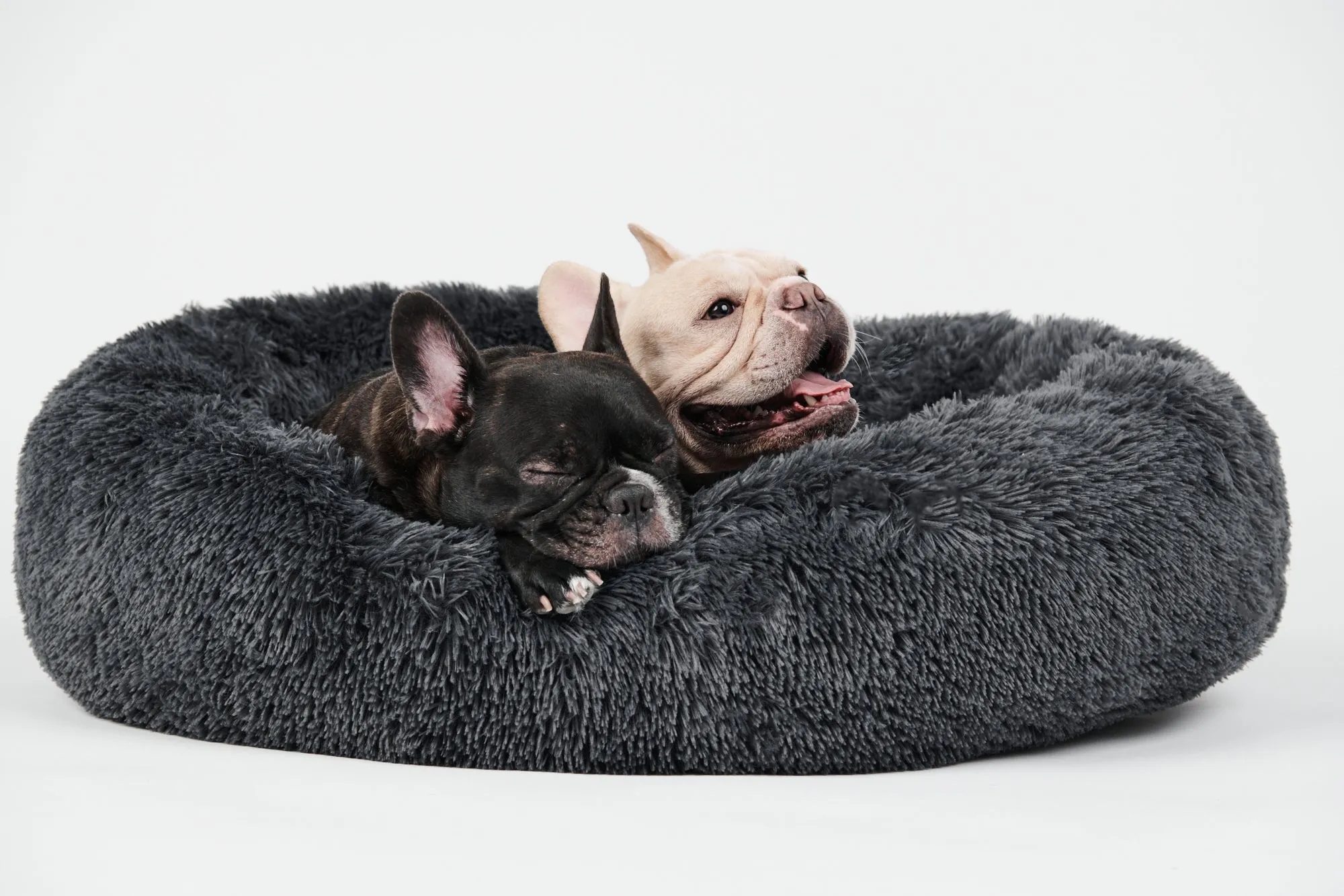 Calming Donut Bed