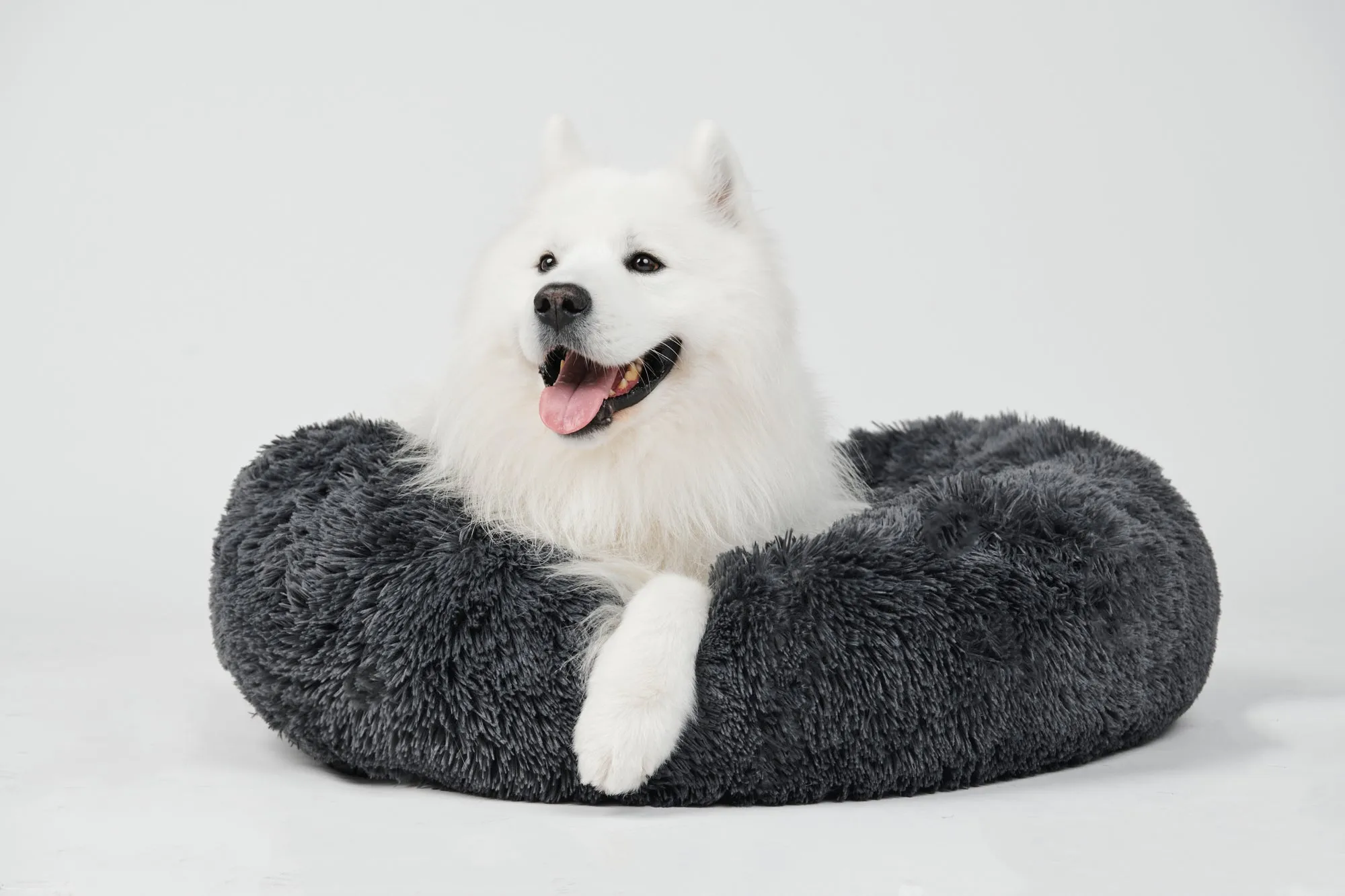 Calming Donut Bed