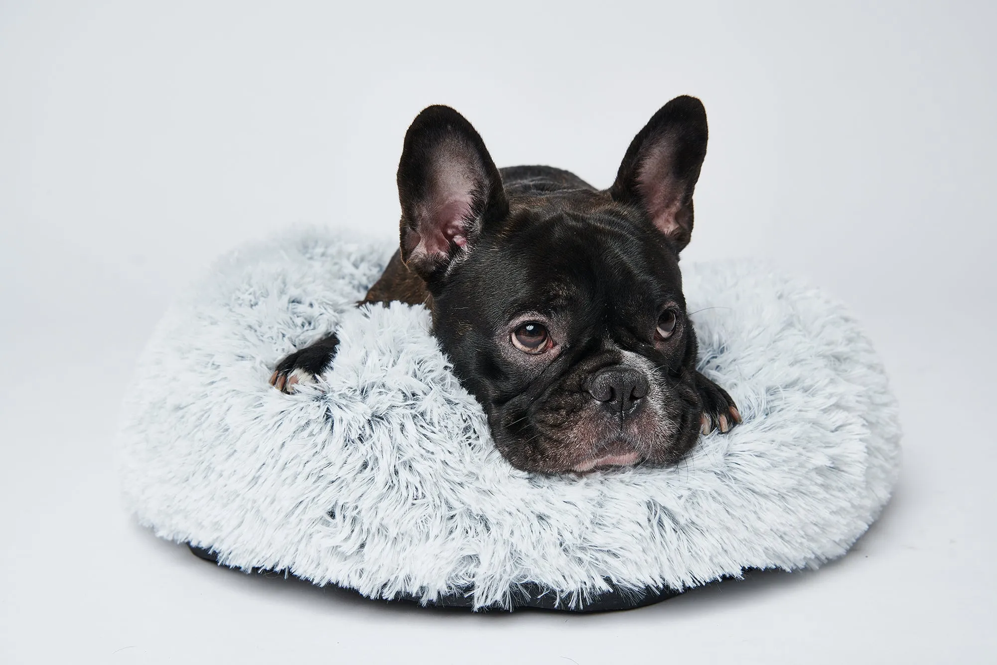Calming Donut Bed