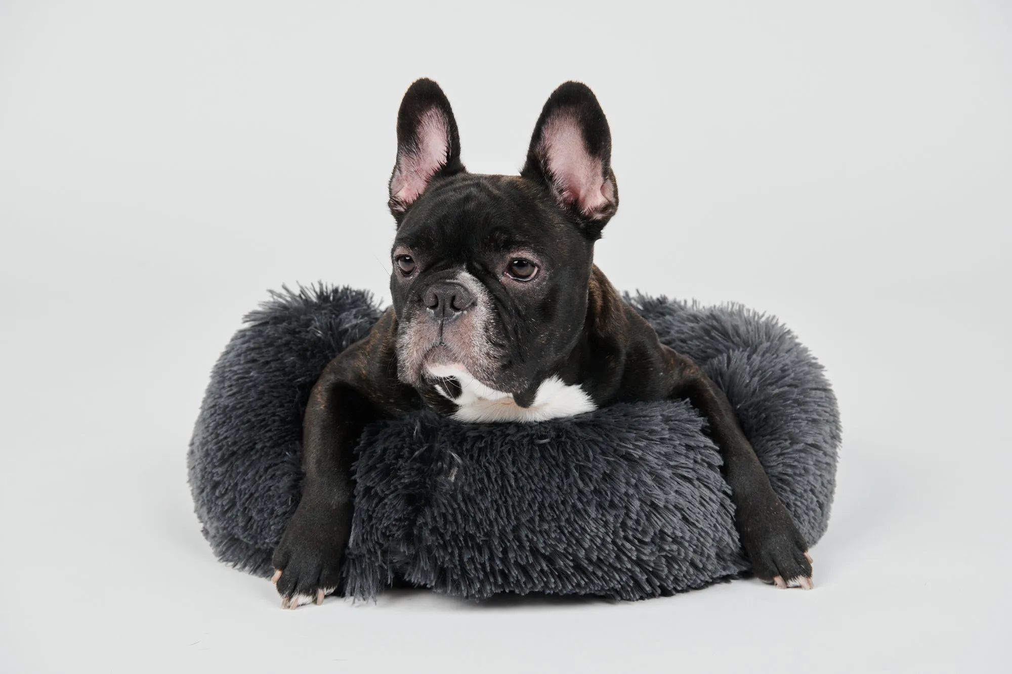 Calming Donut Bed