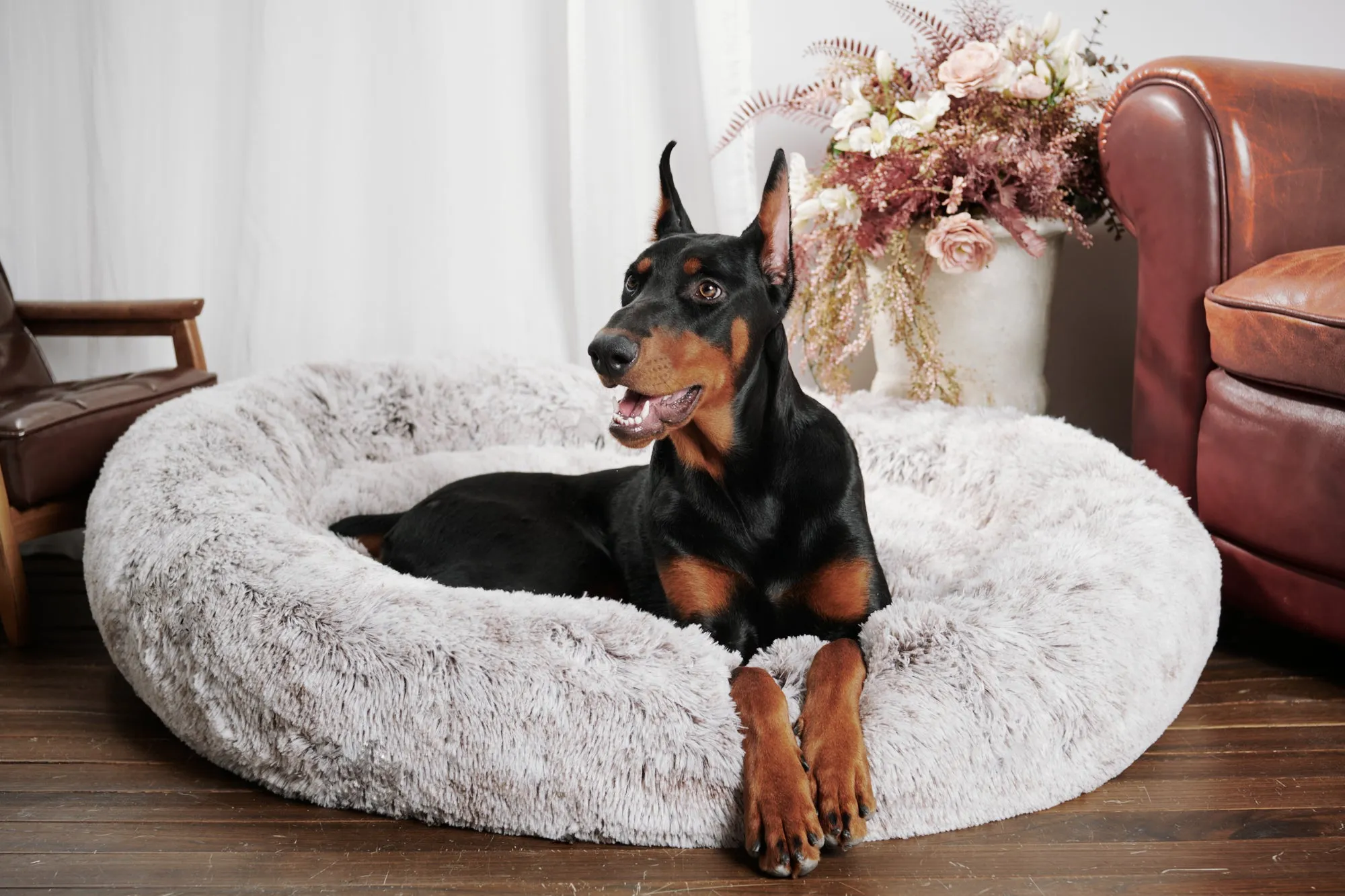 Calming Donut Bed