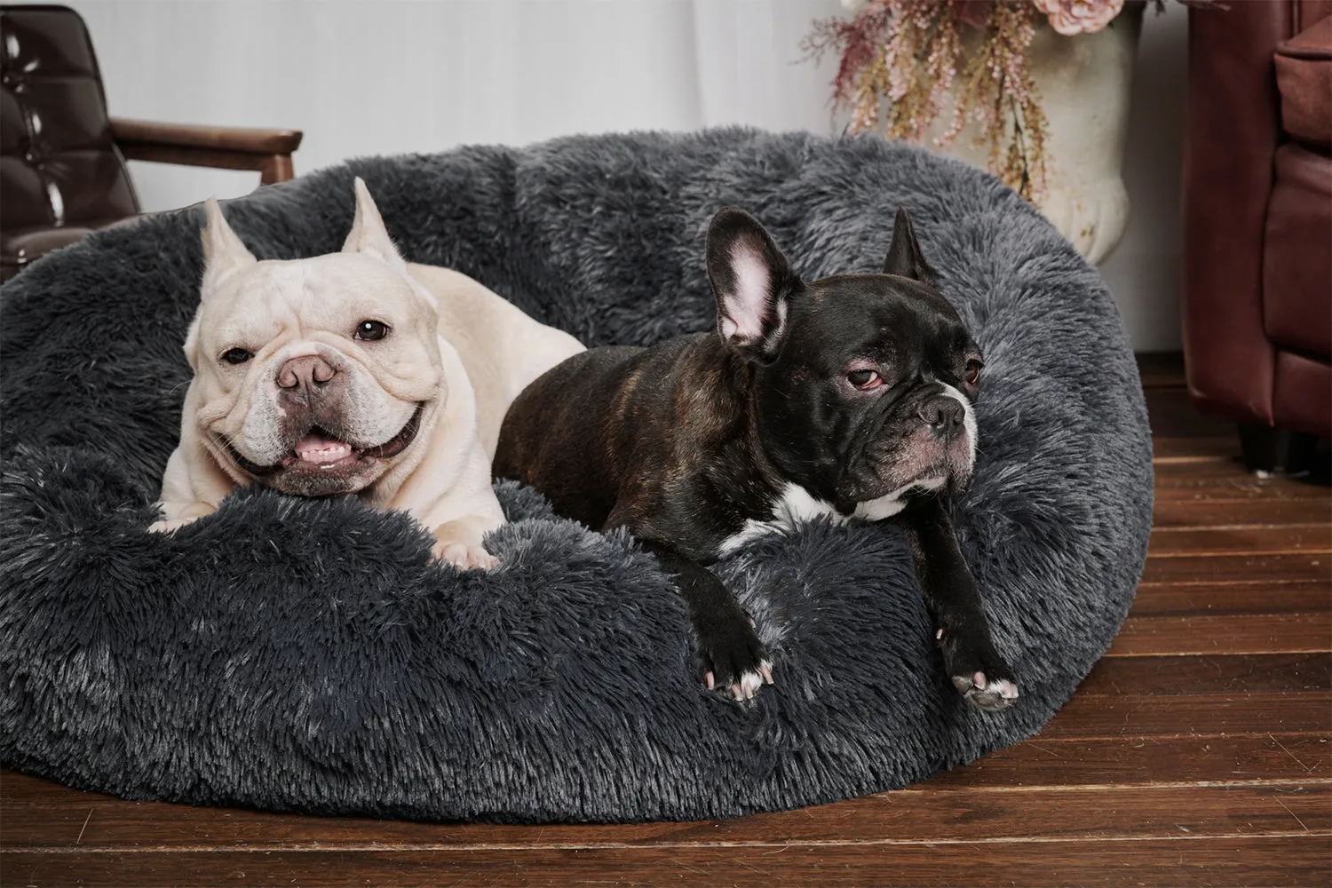Calming Donut Bed