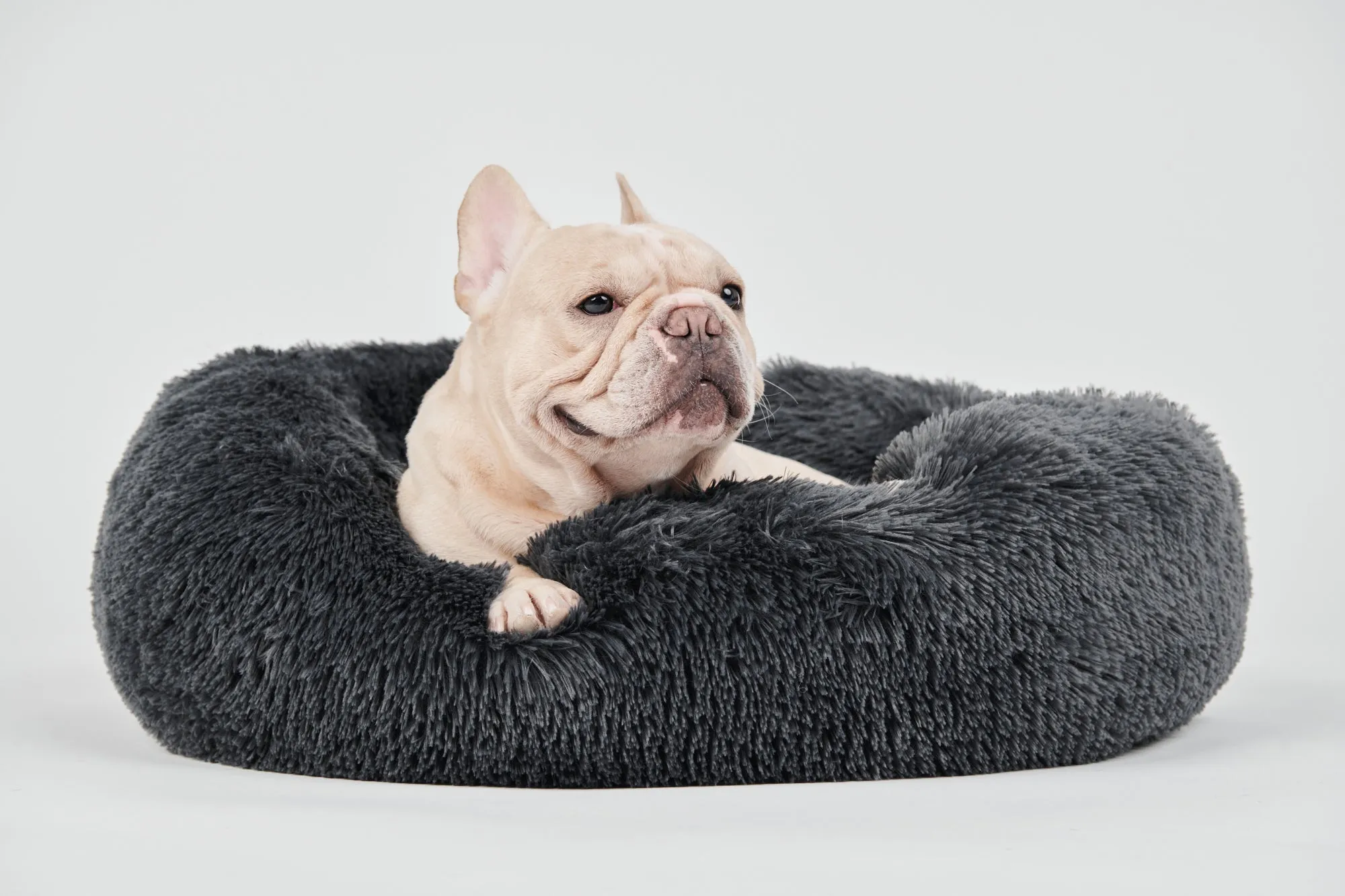 Calming Donut Bed