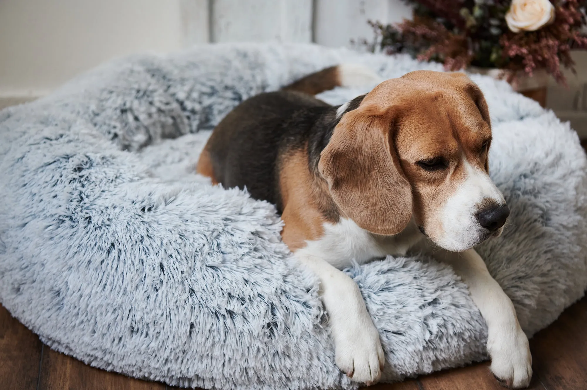 Calming Donut Bed