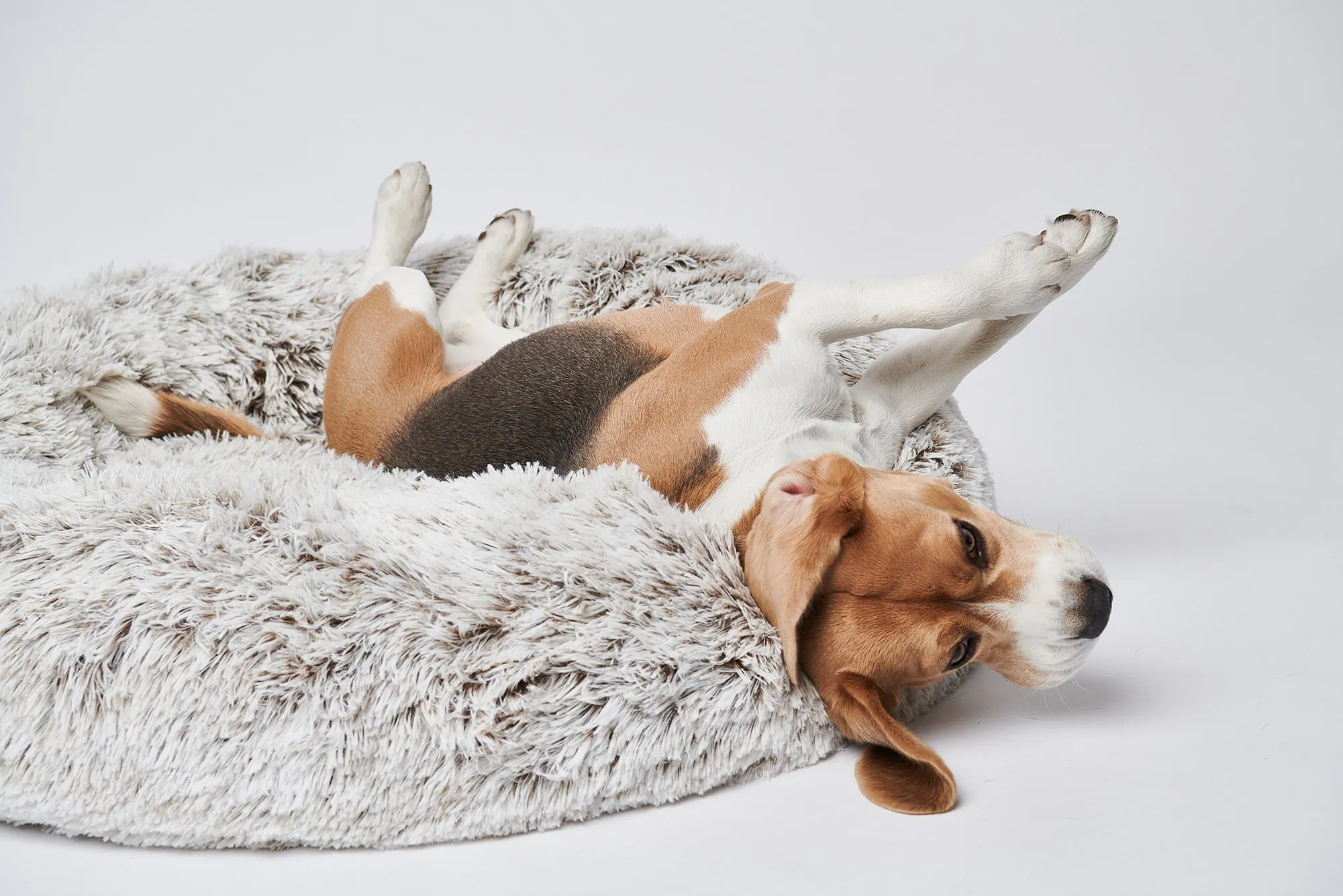 Calming Donut Bed