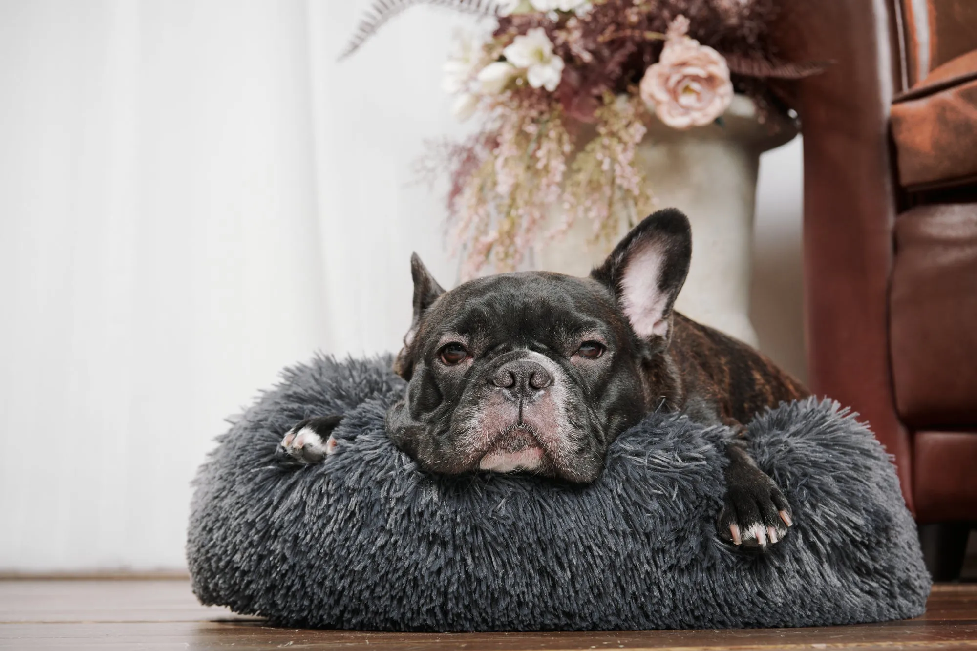 Calming Donut Bed