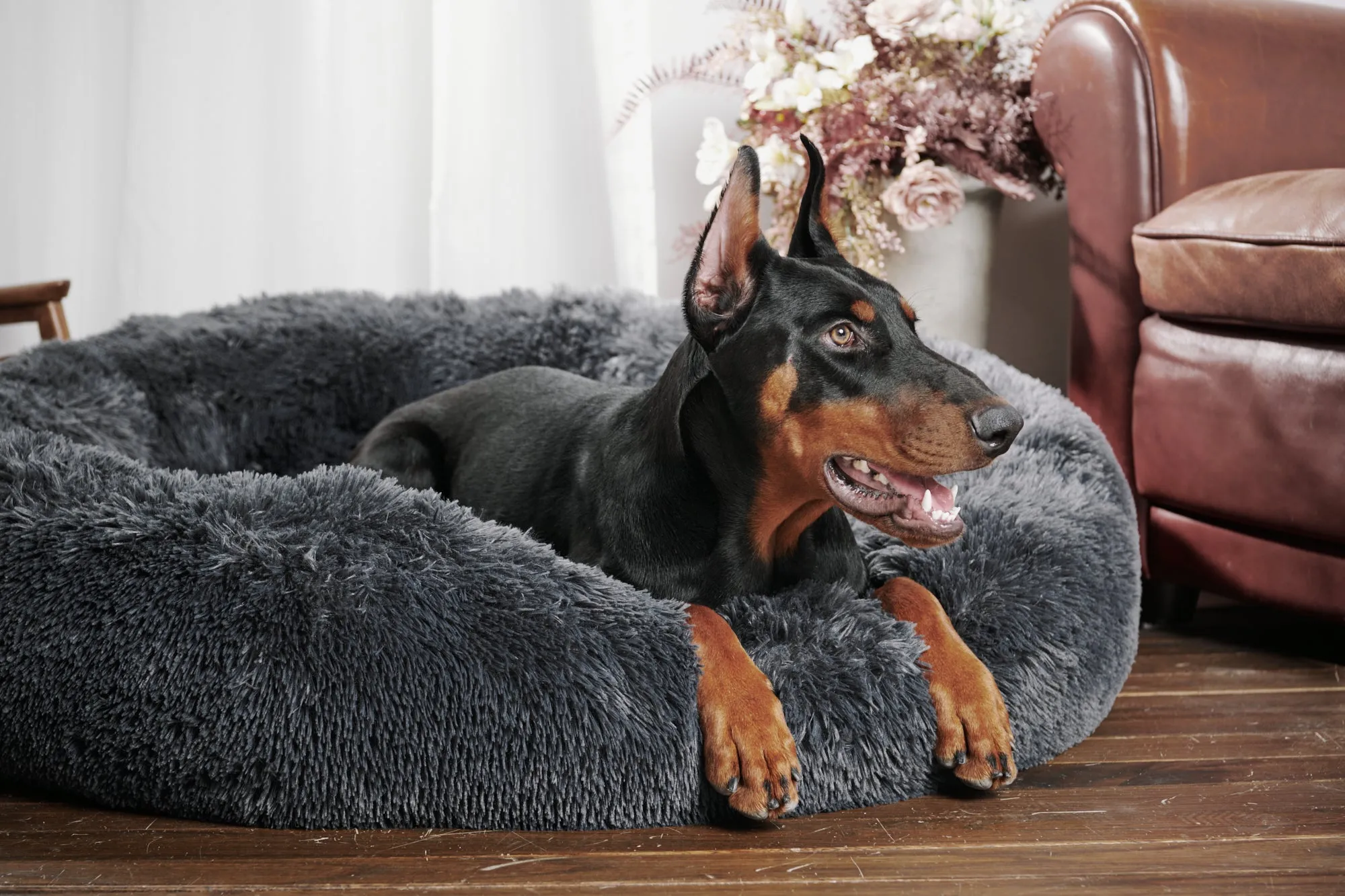 Calming Donut Bed