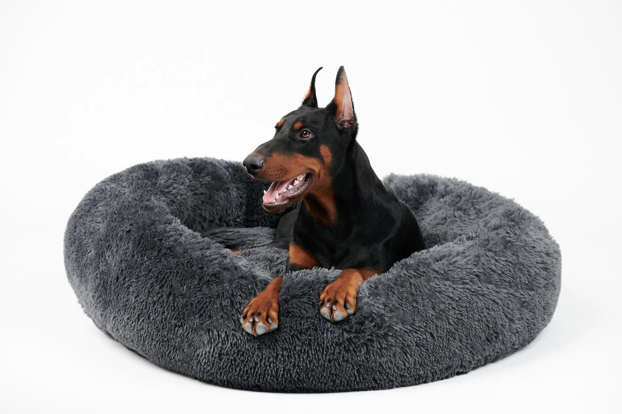 Calming Donut Bed