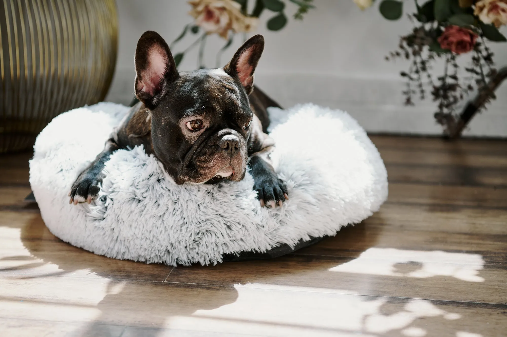 Calming Donut Bed