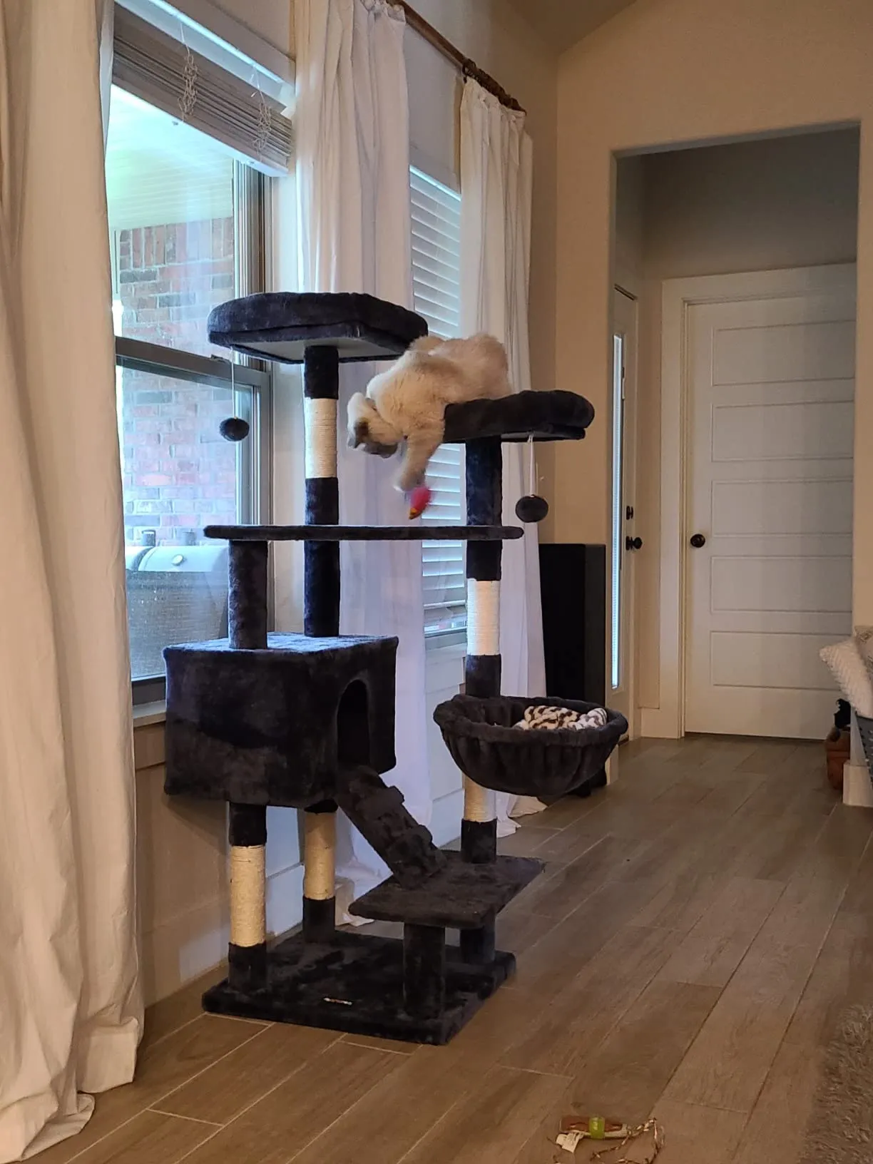 Cat Tree, Cat Tower for Indoor Cats, 55.9" Cat Condo with Scratching Posts