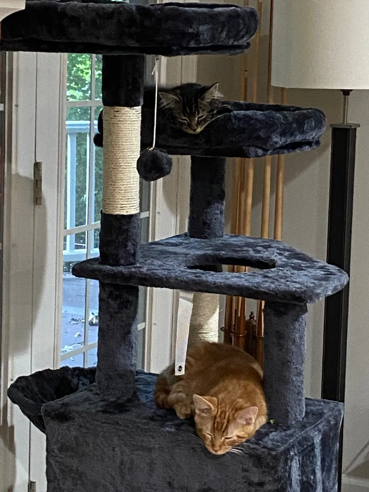 Cat Tree, Cat Tower for Indoor Cats, 55.9" Cat Condo with Scratching Posts