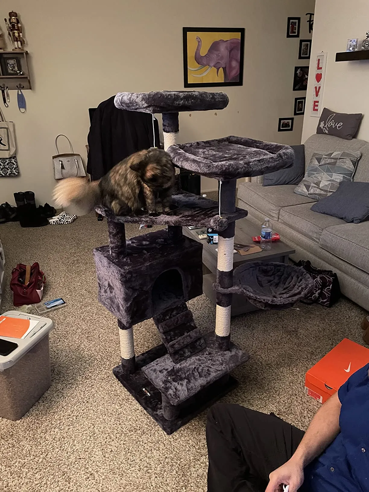 Cat Tree, Cat Tower for Indoor Cats, 55.9" Cat Condo with Scratching Posts