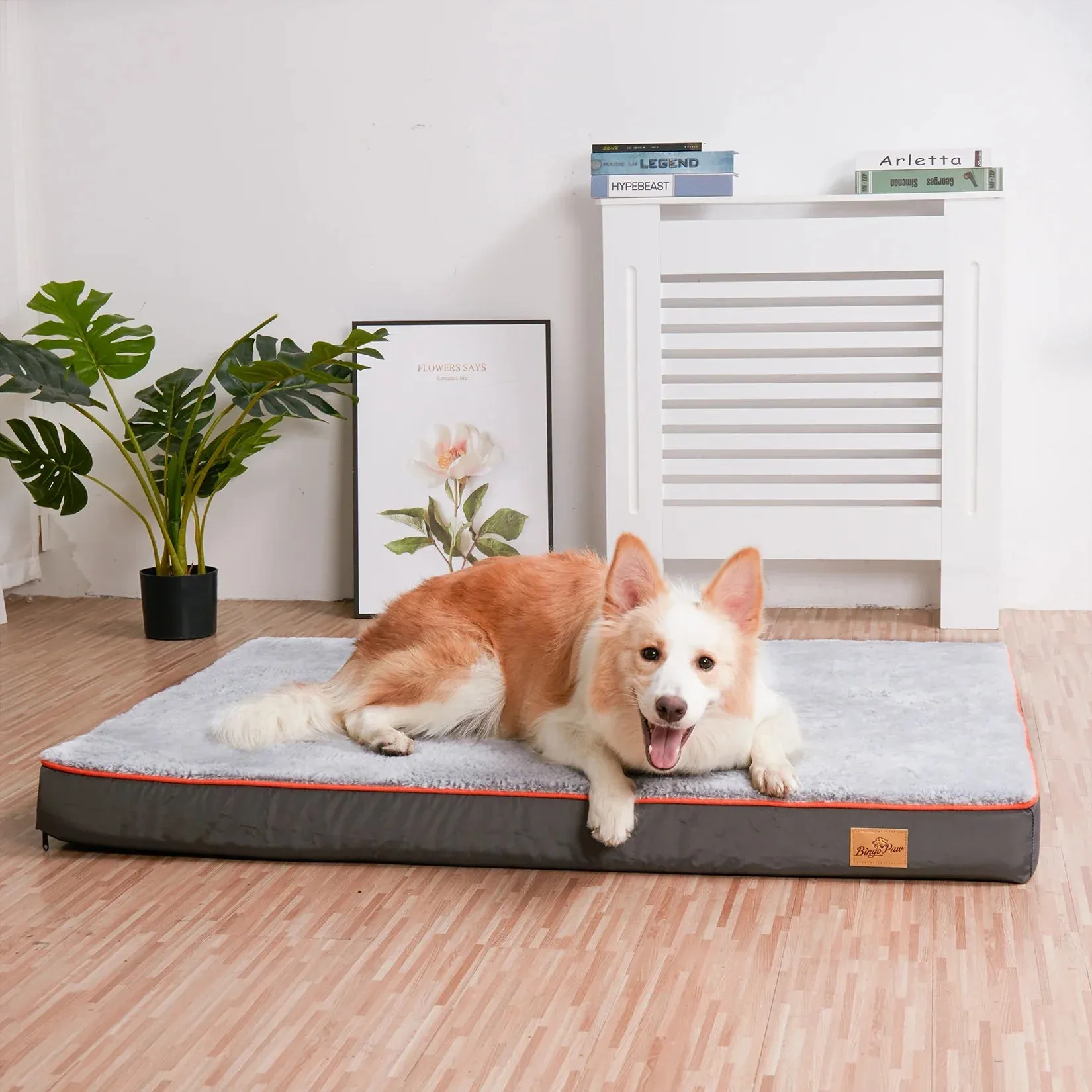 Comfortable Firm Dog Bed with Removable Cover