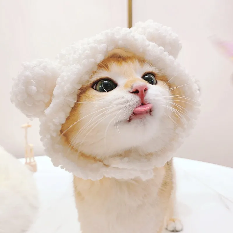 Cutest Teddy Bear Pet Trapper Hat with Velcro Closure