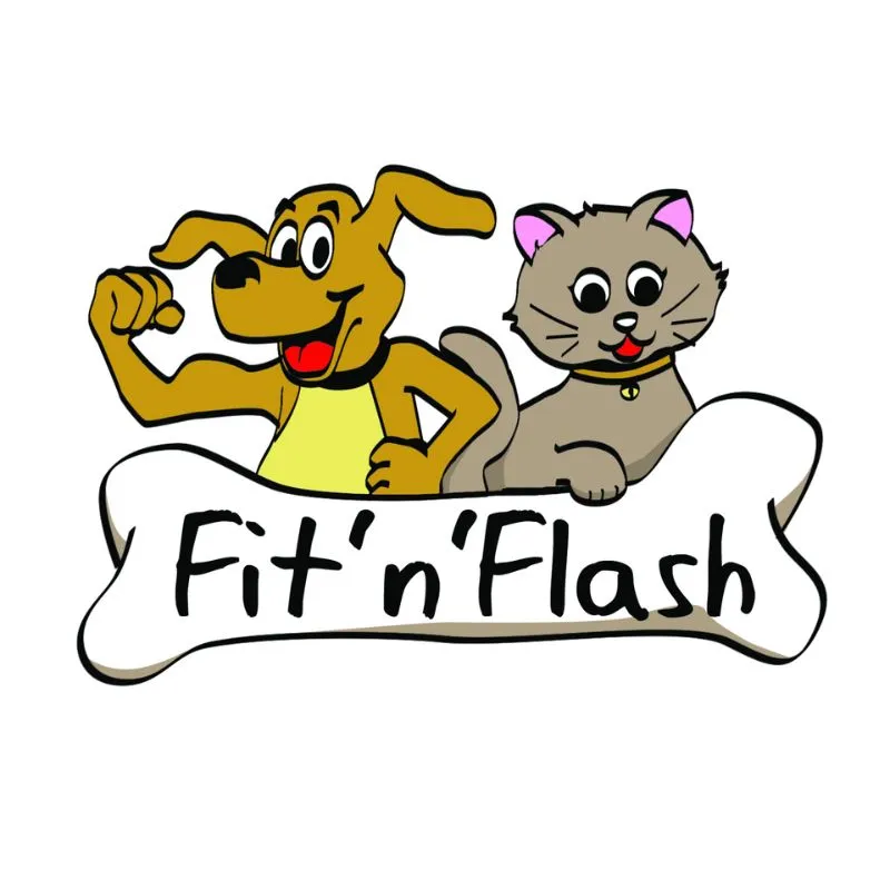 Fit 'n' Flash Beef Chews Dog Treat 60g