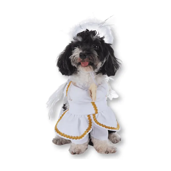 Halloween Dog Costumes - Angel in White