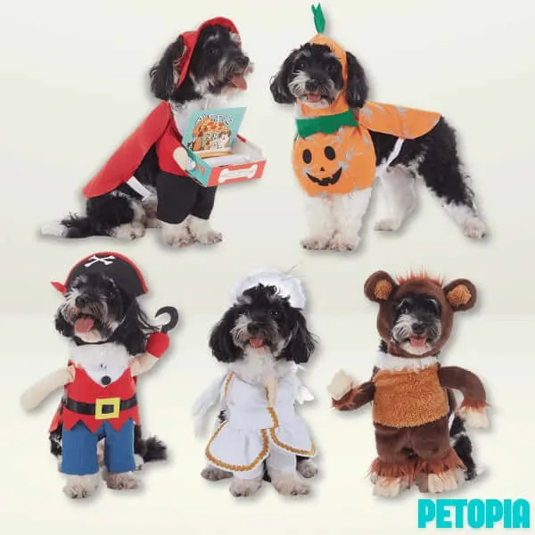 Halloween Dog Costumes - Red Peach Clown