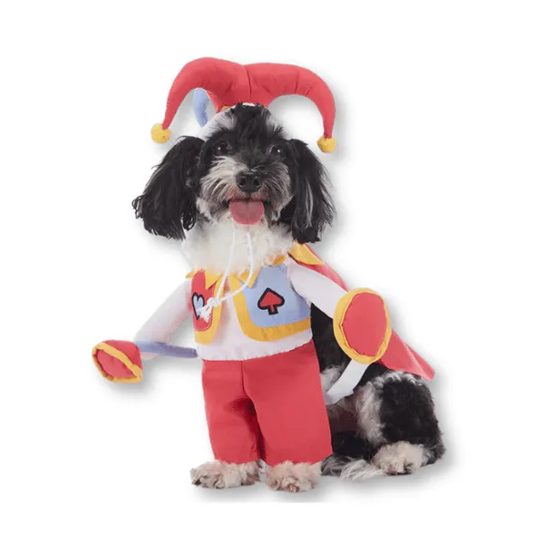 Halloween Dog Costumes - Red Peach Clown