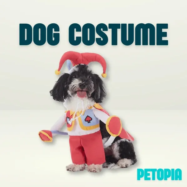 Halloween Dog Costumes - Red Peach Clown