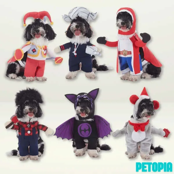 Halloween Dog Costumes - Red Peach Clown