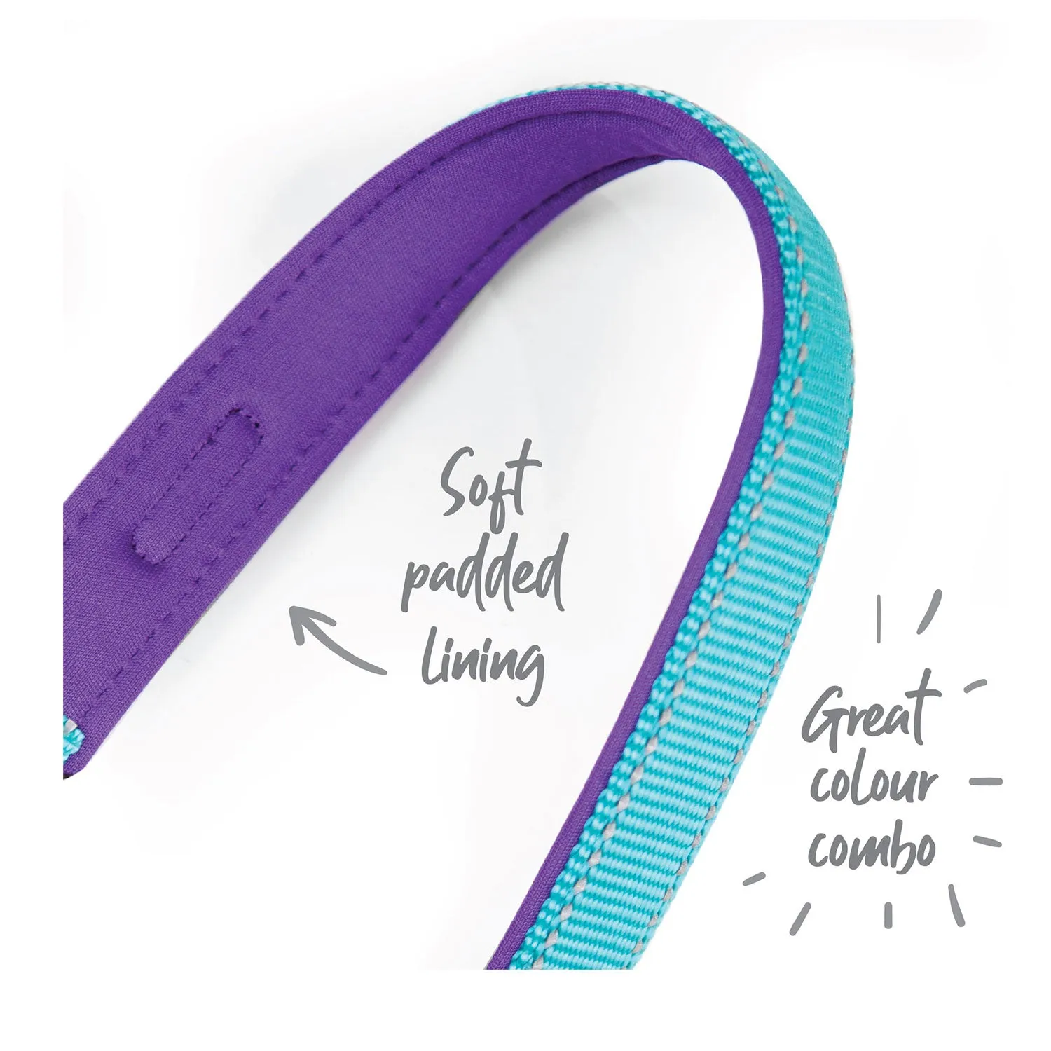 Kazoo Active Easy-Clip Adjustable Dog Collar Aqua & Purple