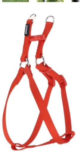 Li'l Pals Comfort Wrap Adjustable Dog Harness