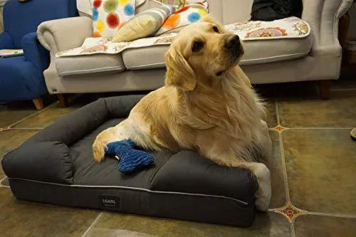 LOAOL Memory Foam Dog Bed Durable Waterproof Pet Sofa Couch with Bolster Orthopedic Cat Lounger Removable Cover (L, Woven Gray)
