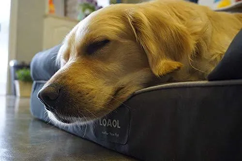 LOAOL Memory Foam Dog Bed Durable Waterproof Pet Sofa Couch with Bolster Orthopedic Cat Lounger Removable Cover (L, Woven Gray)