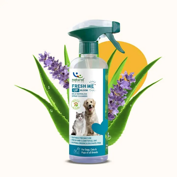 Natural Remedies Fresh Me Up Bloom Dry Shampoo for Dogs and Cats