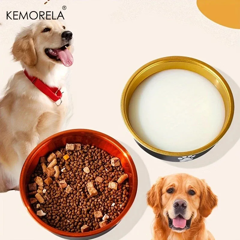 Non-Slip Stainless Steel Dog Bowls for All Sizes