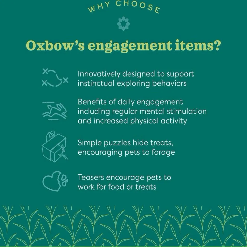 Oxbow Animal Health Enriched Life The Treat House Small Animal Chew Toy