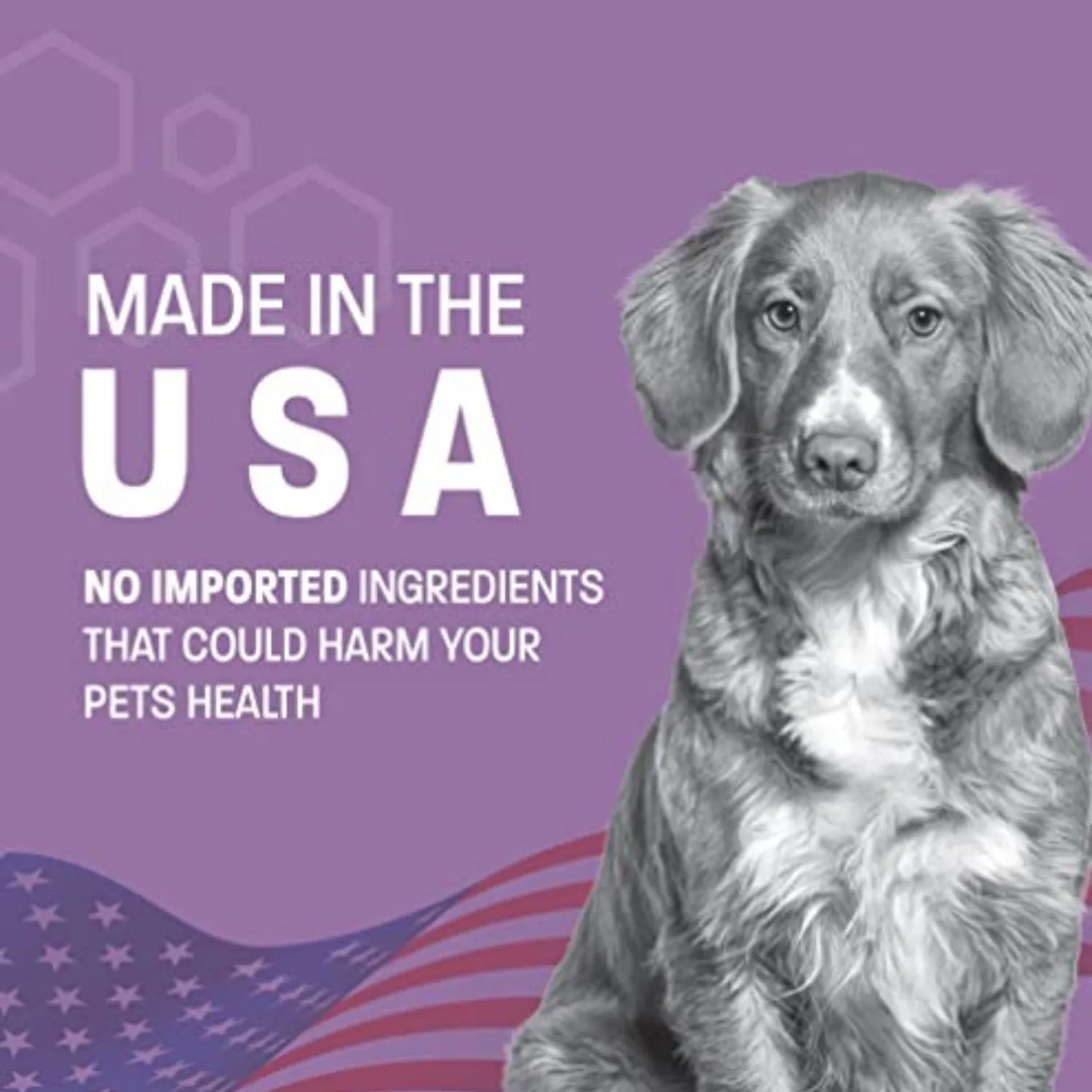 Pet Health Pros Tearless Puppy Shampoo, Hypoallergenic, Soap-Free, For Small Pets, 16oz, Fruity Scent