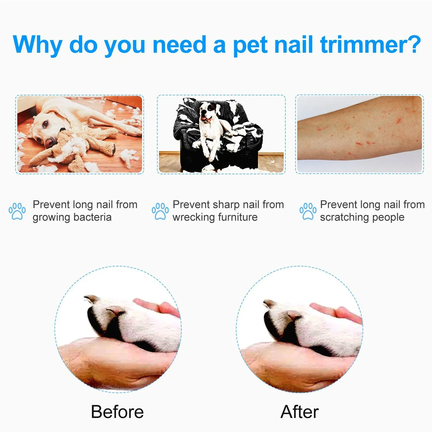 Pet Nail Toe Stainless Steel Trimmer with Nail File