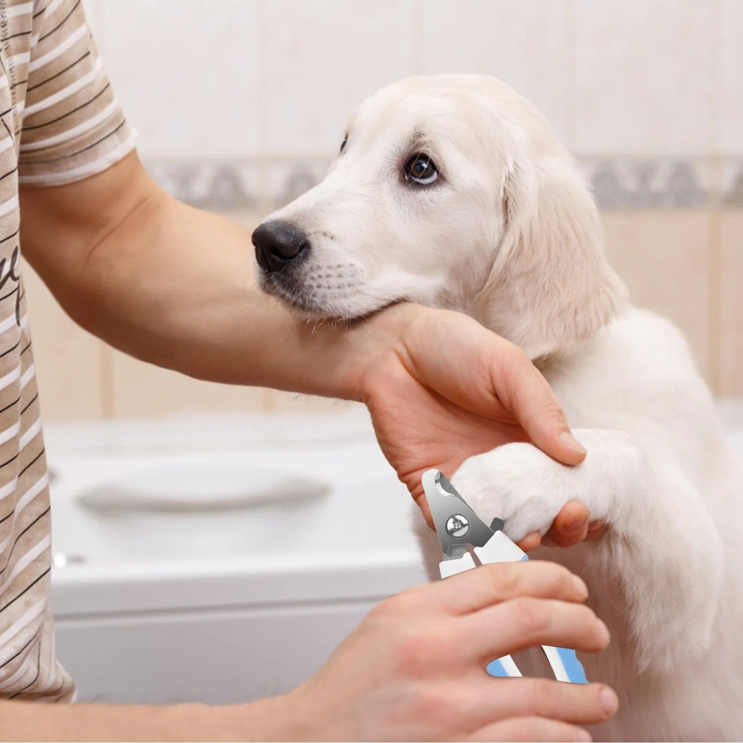 Pet Nail Toe Stainless Steel Trimmer with Nail File