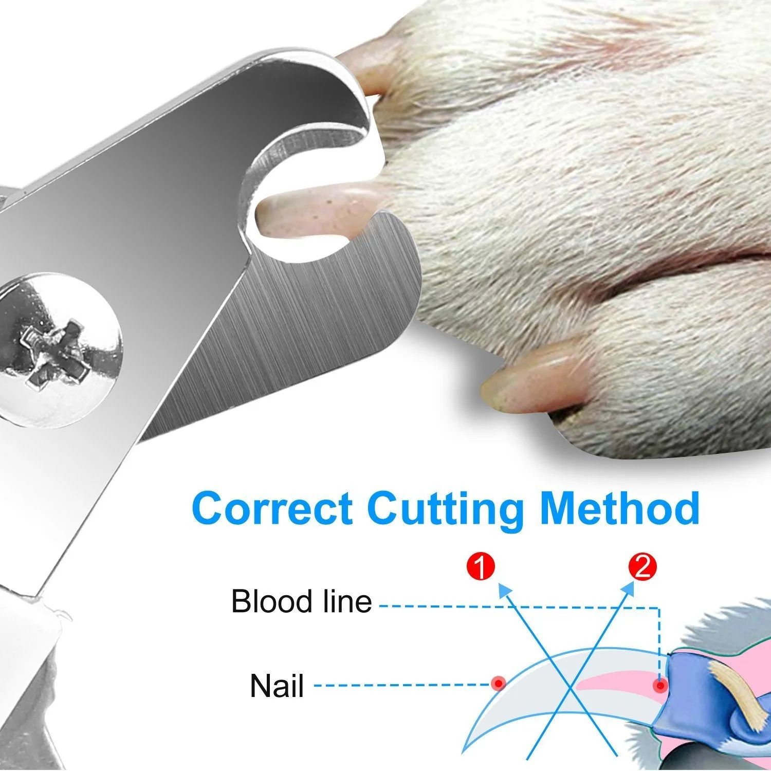 Pet Nail Toe Stainless Steel Trimmer with Nail File