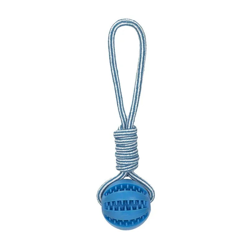 Pet Treat Ball